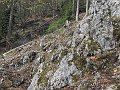 IMG_1489