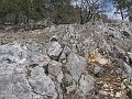 IMG_1491