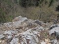IMG_1492