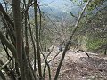 IMG_1495