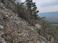 IMG_1497