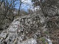 IMG_1500