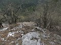 IMG_1501
