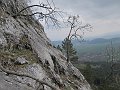 IMG_1503