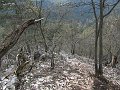 IMG_1504