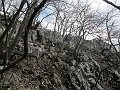 IMG_1509