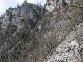 IMG_1513
