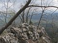 IMG_1515
