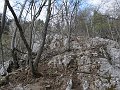 IMG_1519