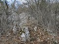 IMG_1523