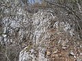 IMG_1524