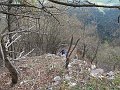 IMG_1525