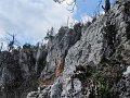 IMG_1529