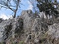 IMG_1530