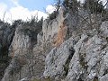 IMG_1531