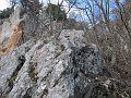 IMG_1532