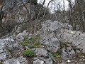 IMG_1535