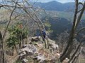 IMG_1537