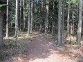 IMG_1539