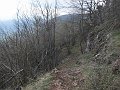 IMG_1541