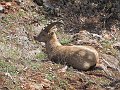 IMG_1544