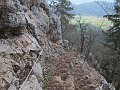 IMG_1546