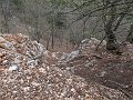 IMG_1549
