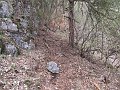 IMG_1551