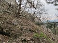 IMG_1552