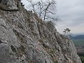 IMG_1554