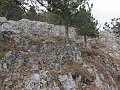 IMG_1556