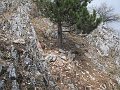 IMG_1557