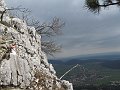 IMG_1558