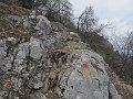 IMG_1565
