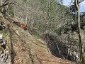 IMG_1582