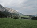 IMG_1584