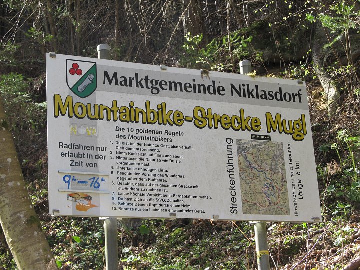 IMG_1595.JPG - Es gibt hier die Forststraße weiterführend auch eine Mountainbikestrecke. Für mich ist das aber nichts.