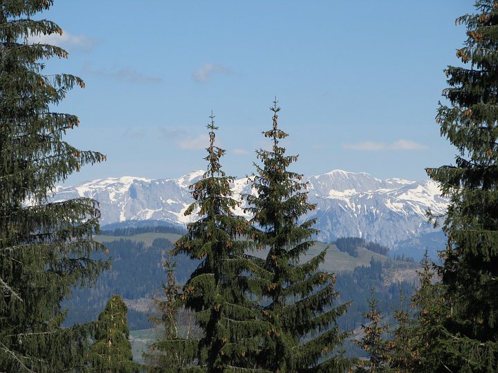 IMG_1611.JPG - Erste Fernblicke zum Hochschwab