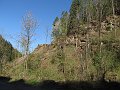 IMG_1587