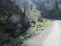IMG_1592