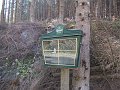 IMG_1594