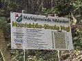 IMG_1595