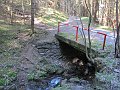 IMG_1596