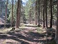 IMG_1609