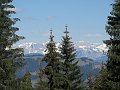 IMG_1611