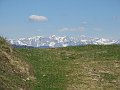 IMG_1614