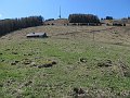IMG_1617