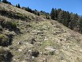 IMG_1619