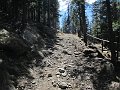 IMG_1641