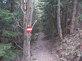 IMG_1681